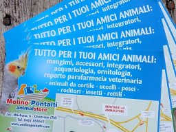 Mostra avicola 2024